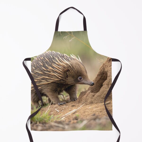 Item preview, Echidna inquisitive young designed and sold by pawprintz.