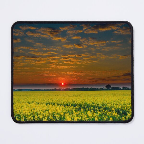 Item preview, rape field designed and sold by GIPR.