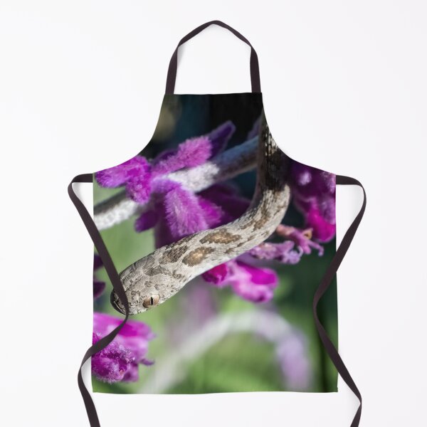 Item preview, Rhombic Egg-Eater (Dasypeltis scabra) designed and sold by Pixel Press Prints.
