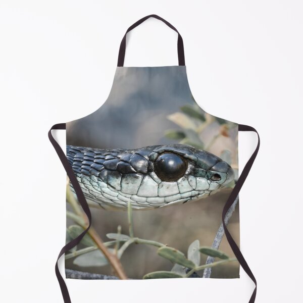 Item preview, Boomslang (Dispholidus typus) designed and sold by Pixel Press Prints.