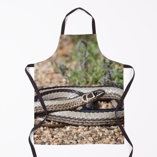 Item preview, Cross-Marked Sand Snake (Psammophis crucifer) designed and sold by Pixel Press Prints.
