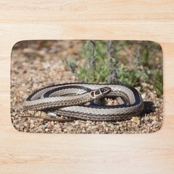 Item preview, Cross-Marked Sand Snake (Psammophis crucifer) designed and sold by Pixel Press Prints.