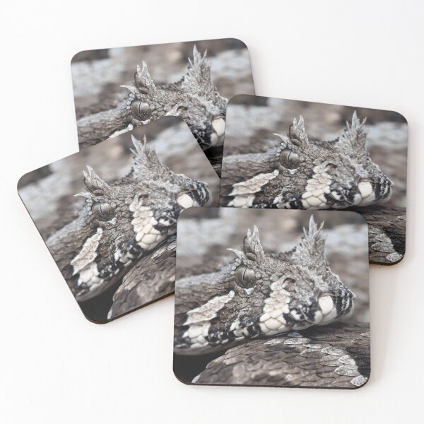 Item preview, Many-Horned Adder (Bitis cornuta) designed and sold by Pixel Press Prints.