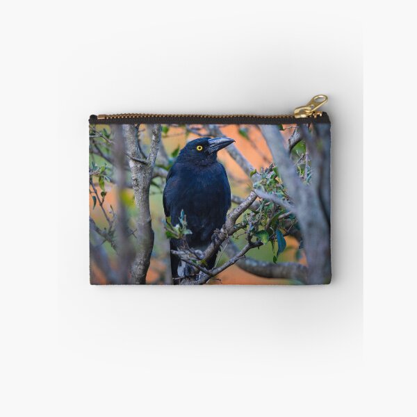 Item preview, Australian Currawong orange designed and sold by Tara Smithson.