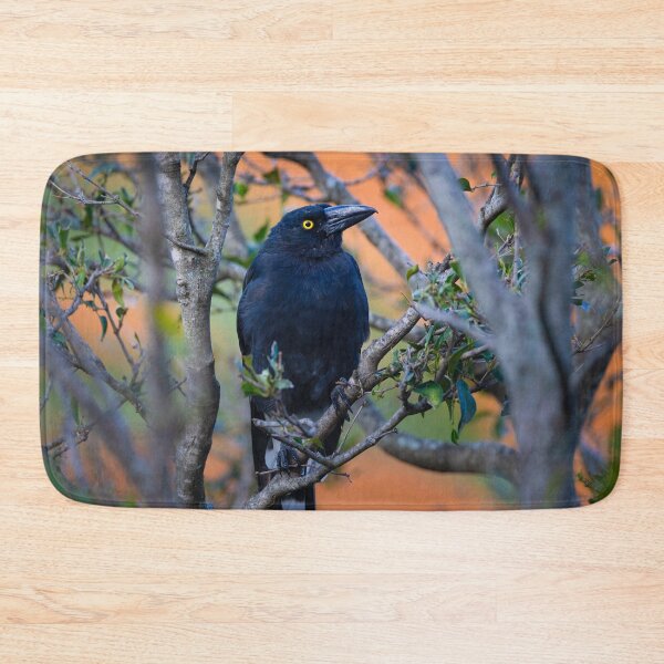 Item preview, Australian Currawong orange designed and sold by Tara Smithson.