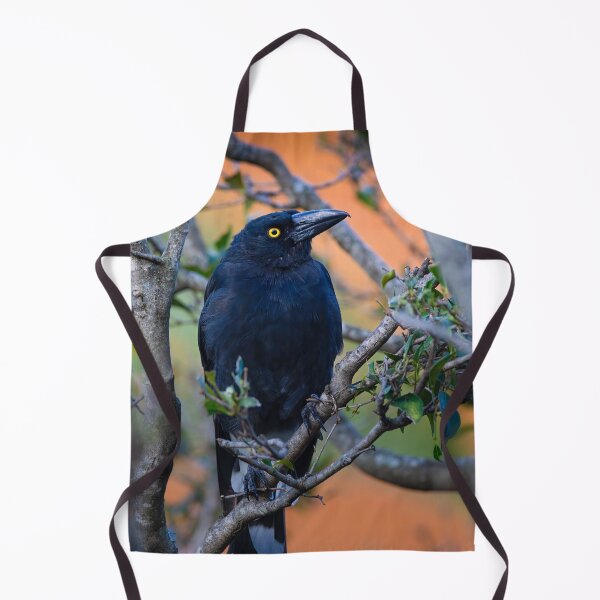 Item preview, Australian Currawong orange designed and sold by Tara Smithson.