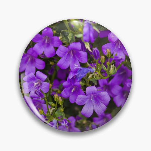 Artikelvorschau, Nahaufnahme von leuchtend violetten Blüten entworfen und verkauft von David Patterson.