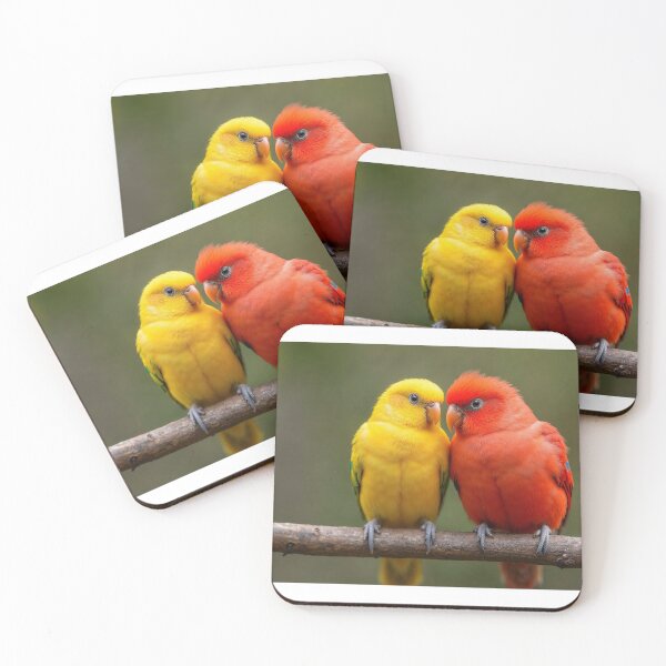 Item preview, Two vibrant parrots perched side by side on a horizontal branch. designed and sold by artumbre.