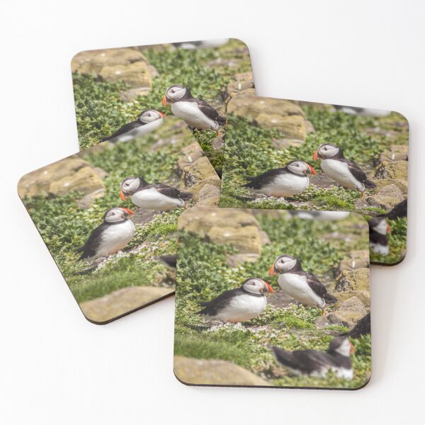 Item preview, Atlantic Puffins on Rocky Terrain designed and sold by David Patterson.
