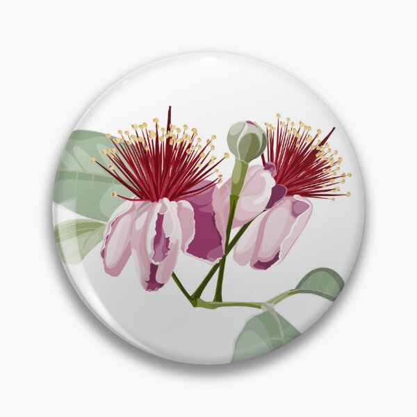 Item preview, Feijoa flower illustration. Engraved botanical fruit in bloom with leaves. designed and sold by MatyKotiv.