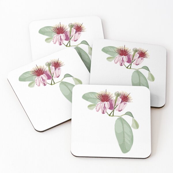 Item preview, Feijoa flower illustration. Engraved botanical fruit in bloom with leaves. designed and sold by MatyKotiv.