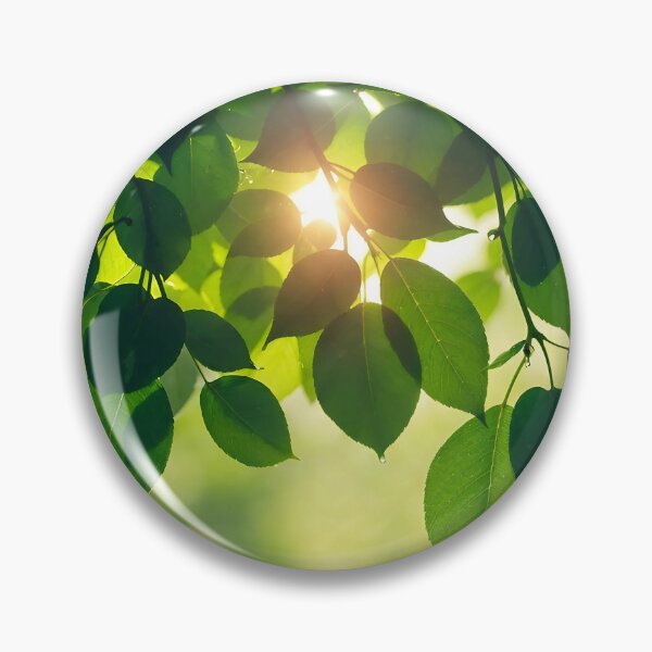 Artikelvorschau, Ein üppiges Blätterdach aus grünen Blättern, durch das das Sonnenlicht fällt und ein strahlendes Leuchten erzeugt. entworfen und verkauft von artumbre.