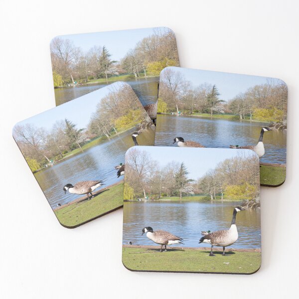 Item preview, Canada Geese by the Lake in Spring: Hanley Park designed and sold by David Patterson.