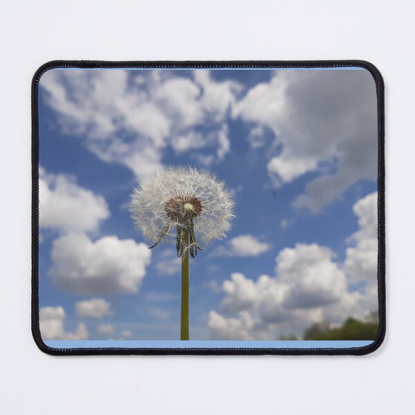 Item preview, Dandelion clock against the sky designed and sold by Joanne Babb.