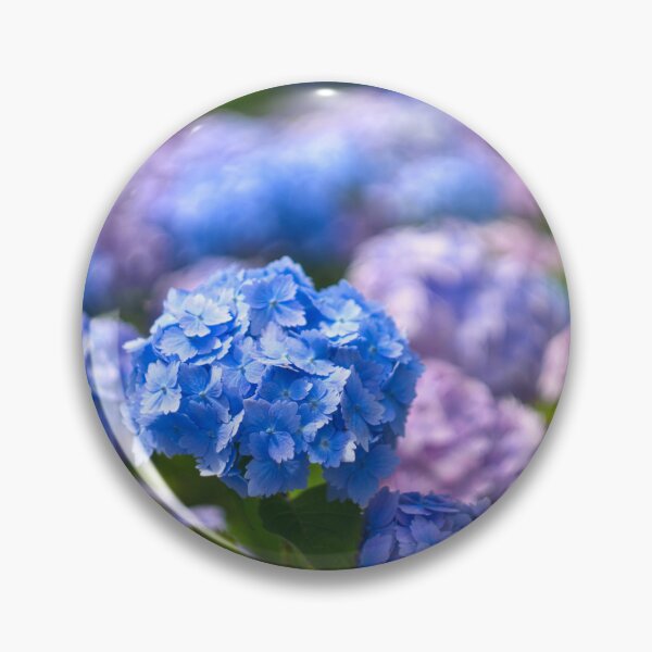 Item preview, Mophead Hydrangeas  designed and sold by Alisonchambers2.