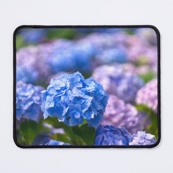 Item preview, Mophead Hydrangeas  designed and sold by Alisonchambers2.