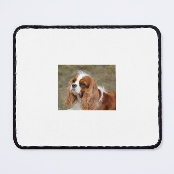 Item preview, Cavalier King Charles Spaniel designed and sold by hannahza.