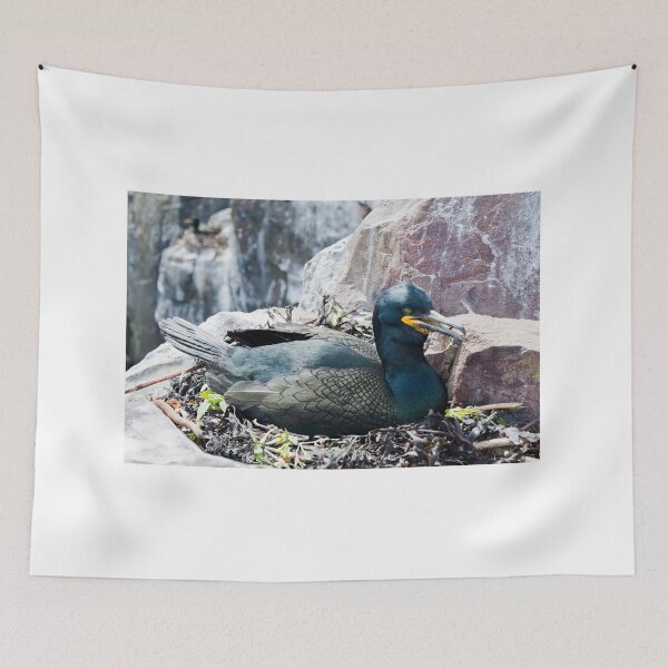 Item preview, Shag Bird Nesting on Rocky Shore at the Farne isles designed and sold by David Patterson.