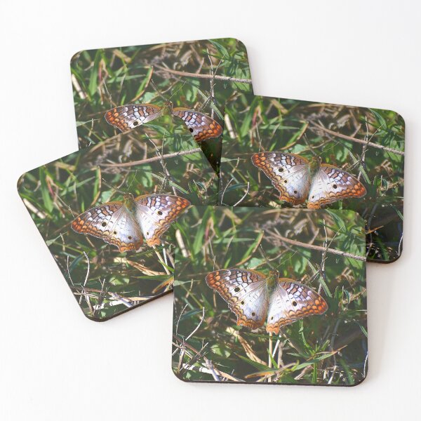 Item preview, Apopka Wildlife Drive White Peacock Butterfly designed and sold by MercerImages.