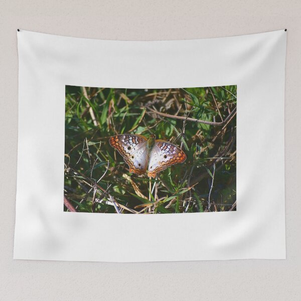 Item preview, Apopka Wildlife Drive White Peacock Butterfly designed and sold by MercerImages.