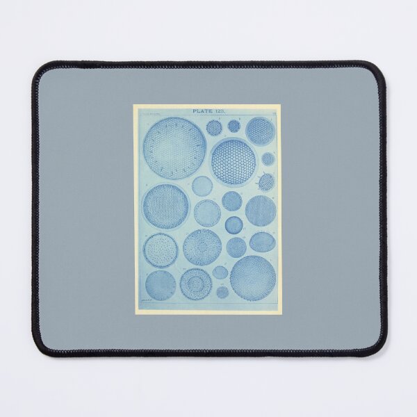 Item preview, Blue diatom illustrations designed and sold by beccainskeep.
