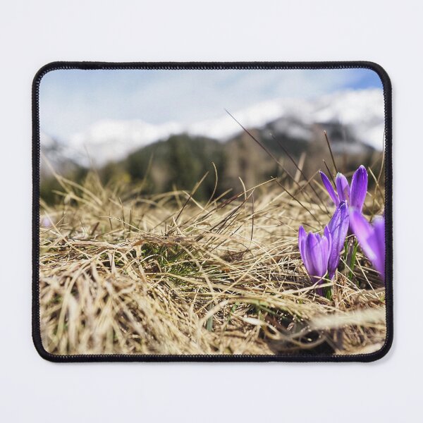 Item preview, mountain flower in the springtime Alps designed and sold by Miriam Schwarzfischer.