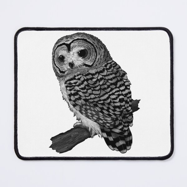 Item preview, Barred Owl designed and sold by sig.