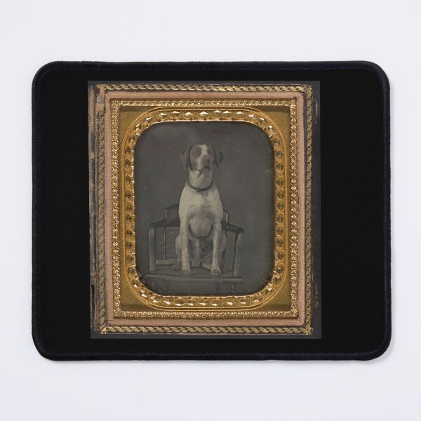 Item preview, Photo of a Fancy Old Dog designed and sold by beccainskeep.