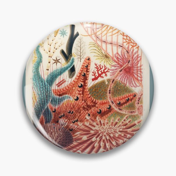 Item preview, Vintage Coral Illustration: Great Barrier Reef designed and sold by beccainskeep.