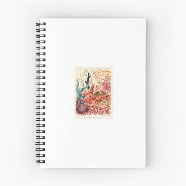 Item preview, Vintage Coral Illustration: Great Barrier Reef designed and sold by beccainskeep.