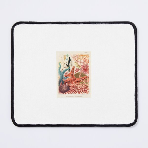 Item preview, Vintage Coral Illustration: Great Barrier Reef designed and sold by beccainskeep.