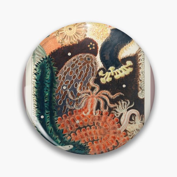 Item preview, Vintage Coral Illustration: Great Barrier Reef designed and sold by beccainskeep.