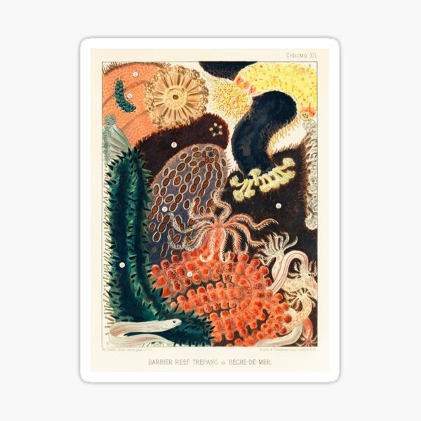 Artikel-Vorschau von Vintage Korallenillustration: Great Barrier Reef, designt und verkauft von beccainskeep.