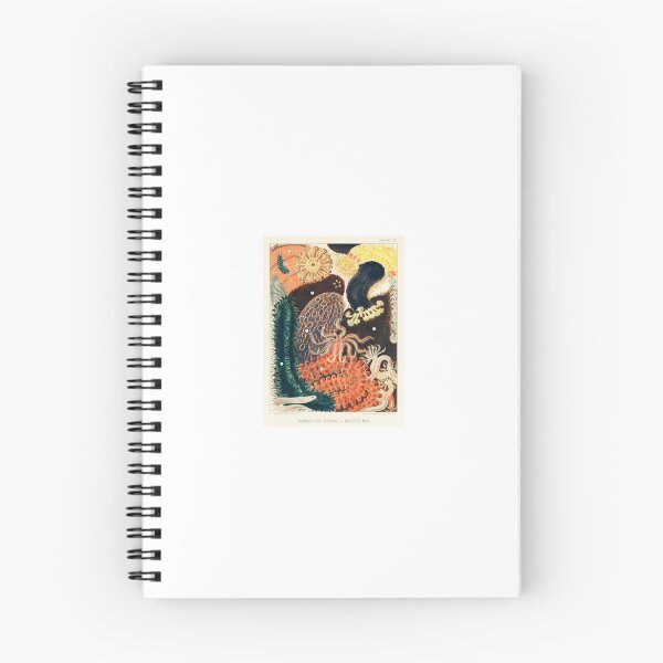 Item preview, Vintage Coral Illustration: Great Barrier Reef designed and sold by beccainskeep.