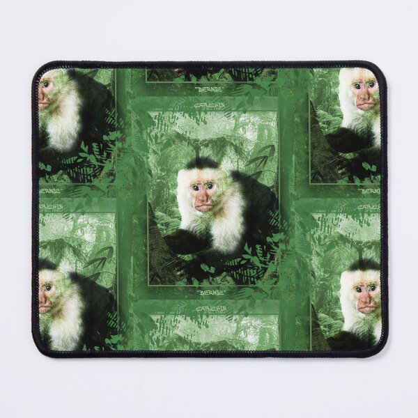 Item preview, Monkey Capuchin Contemporary Print designed and sold by gsbgraphics.