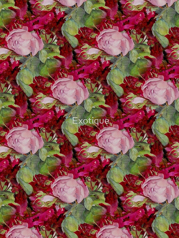 Old roses by Exotique