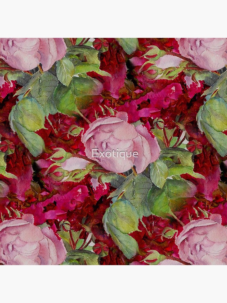 Old roses by Exotique