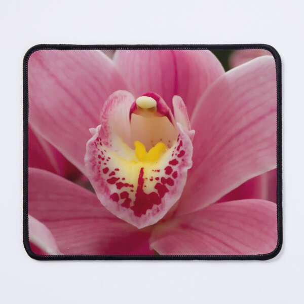 Item preview, This stunning photo captures a vibrant pink orchid in full bloom designed and sold by EyezWatchin.