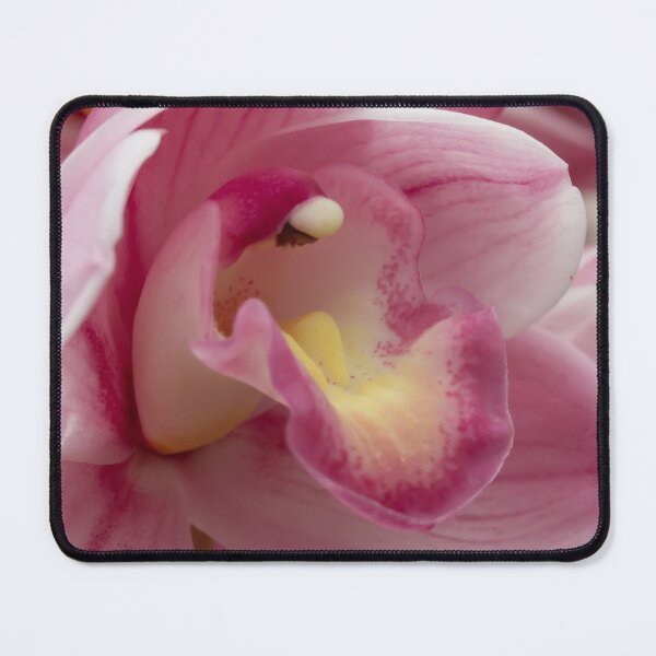 Item preview, This stunning photo captures a vibrant pink orchid in full bloom designed and sold by EyezWatchin.