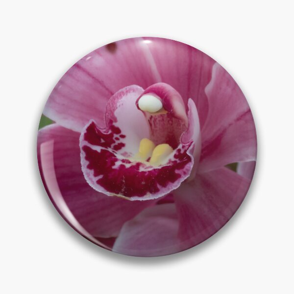 Item preview, This stunning photo captures a vibrant pink orchid in full bloom designed and sold by EyezWatchin.