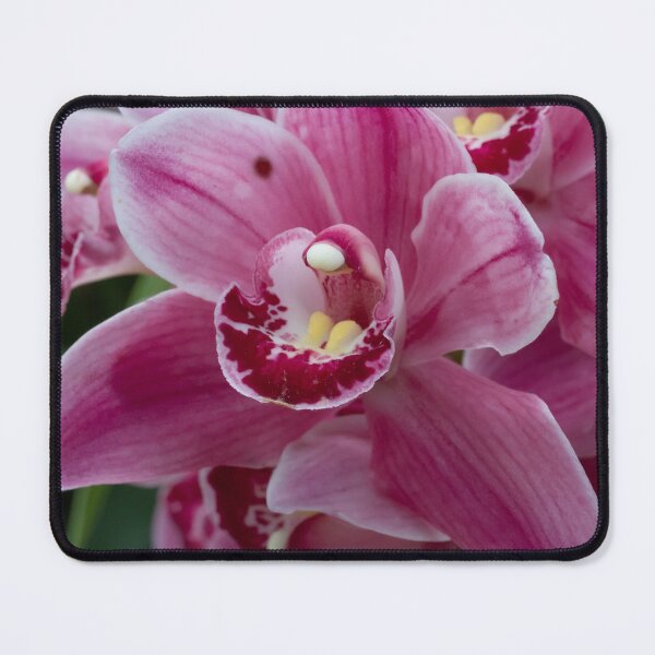 Item preview, This stunning photo captures a vibrant pink orchid in full bloom designed and sold by EyezWatchin.