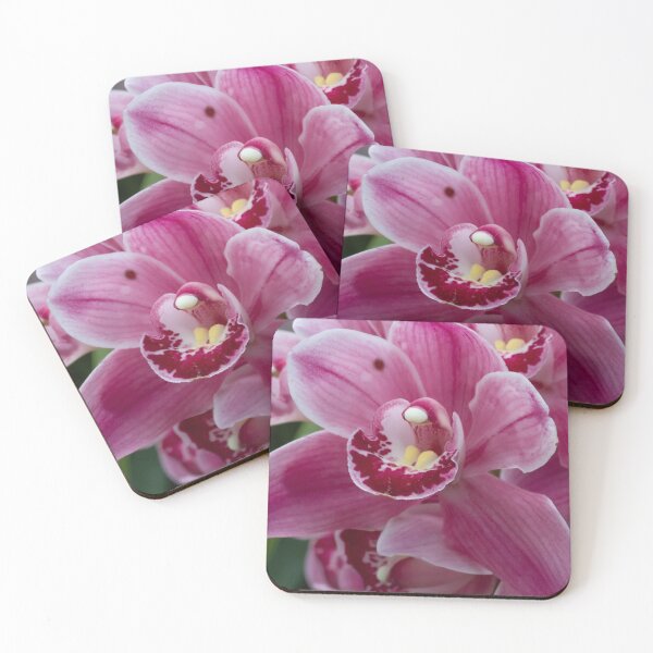 Item preview, This stunning photo captures a vibrant pink orchid in full bloom designed and sold by EyezWatchin.
