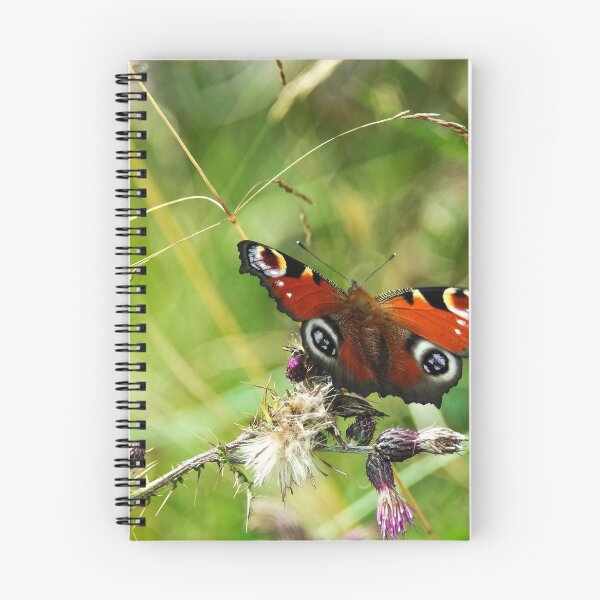 Item preview, Mariposa en flor designed and sold by PhotoPhoto.