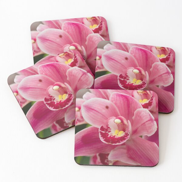 Item preview, This stunning photo captures a vibrant pink orchid in full bloom designed and sold by EyezWatchin.