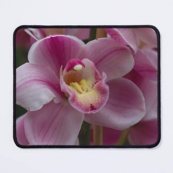Item preview, This stunning photo captures a vibrant pink orchid in full bloom designed and sold by EyezWatchin.