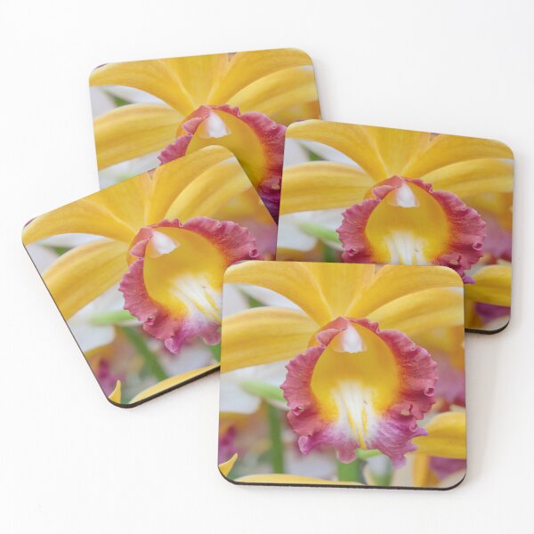 Item preview, This captivating photo showcases a vibrant yellow orchid in full bloom designed and sold by EyezWatchin.