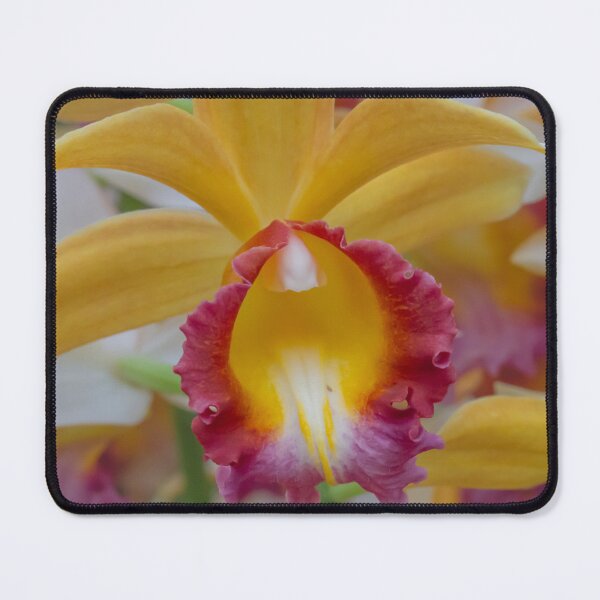 Item preview, This captivating photo showcases a vibrant yellow orchid in full bloom designed and sold by EyezWatchin.