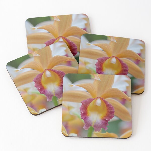 Item preview, This captivating photo showcases a vibrant yellow orchid in full bloom designed and sold by EyezWatchin.