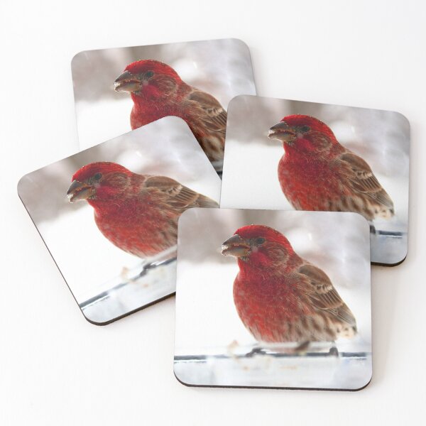 Item preview, Male house finch  designed and sold by McFleur's Lens.