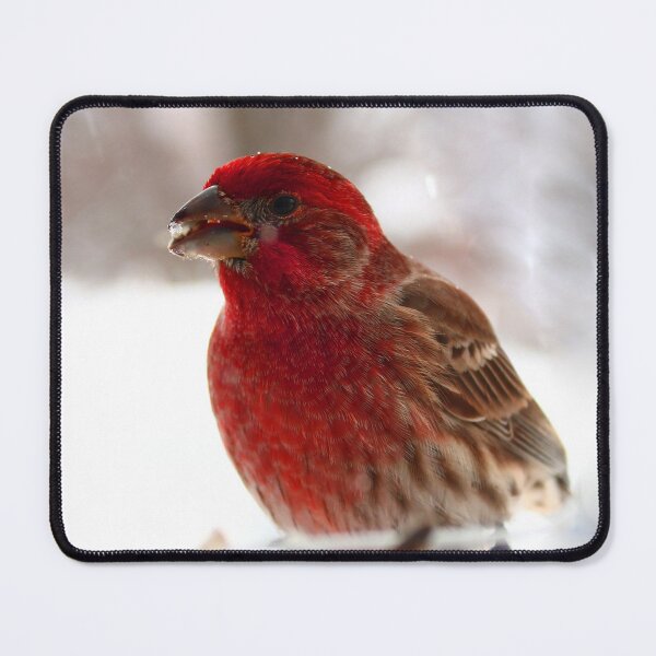 Item preview, Male house finch designed and sold by McFleur's Lens.